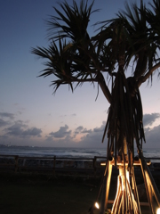 台風16号が去った後