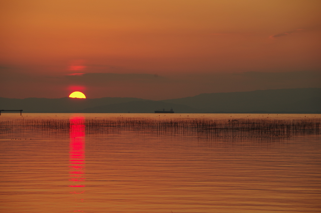 夕日