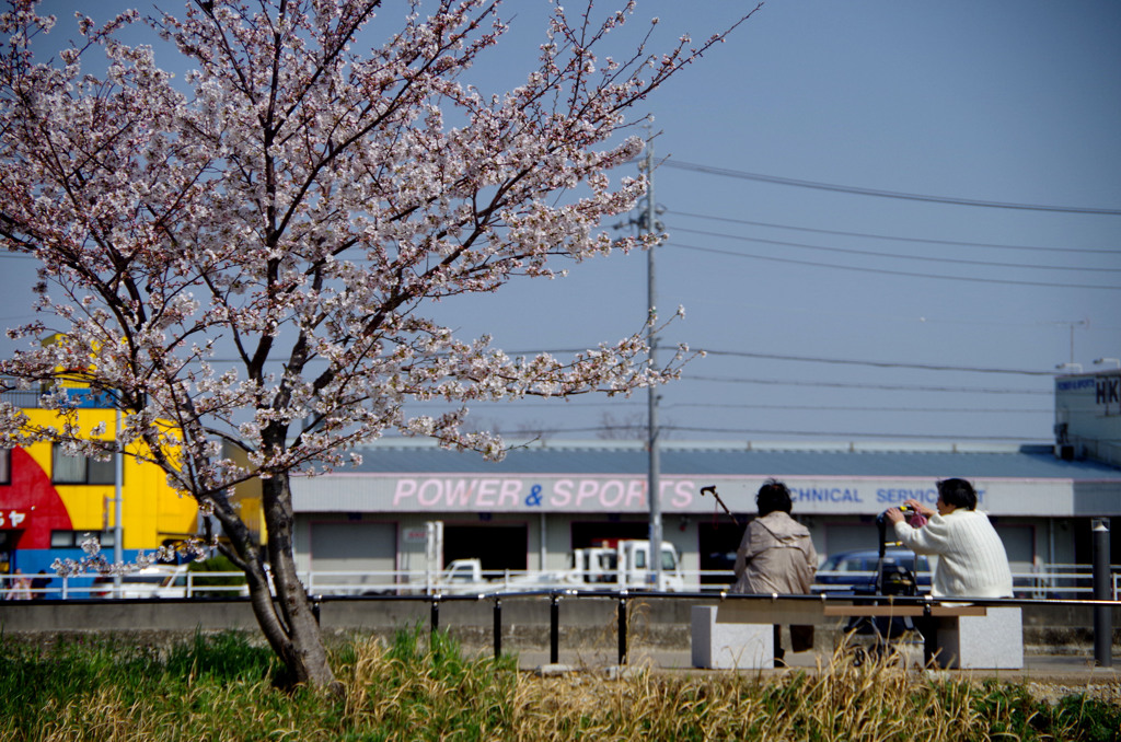 おばあ