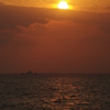 IMGP1545