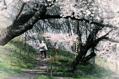 霞城公園 ～山形小旅行～