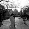 祇園白川