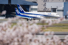 春の伊丹空港