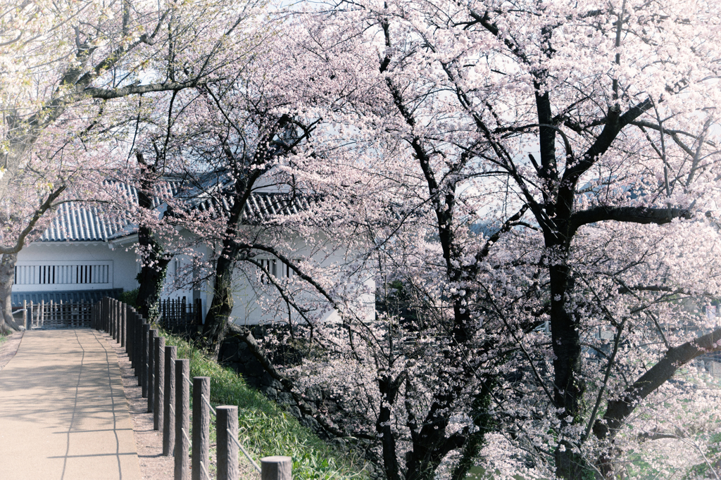 東大手門 ～山形小旅行～