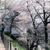 東大手門 ～山形小旅行～
