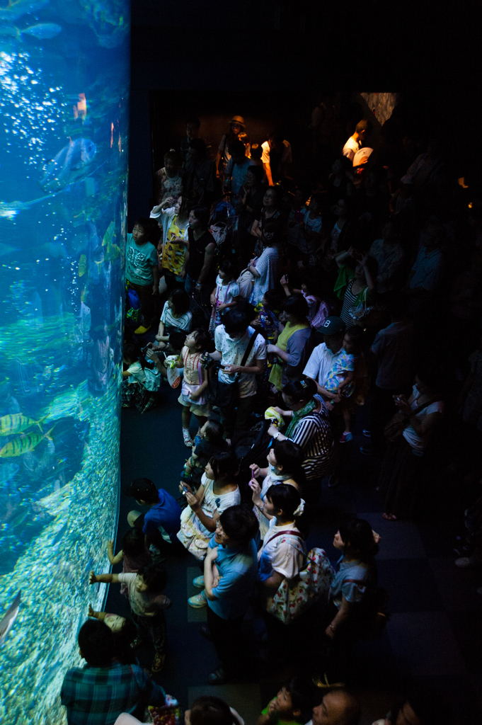 京都水族館２