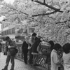 京都東山　徳成橋１