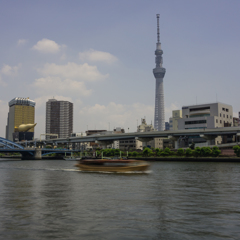 隅田川から