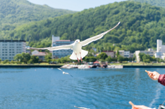 カモメに見送られて　～北海道の旅９～