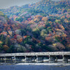 秋渡る橋