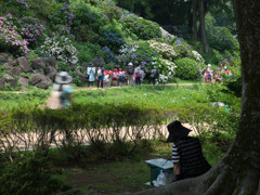 散策の風景