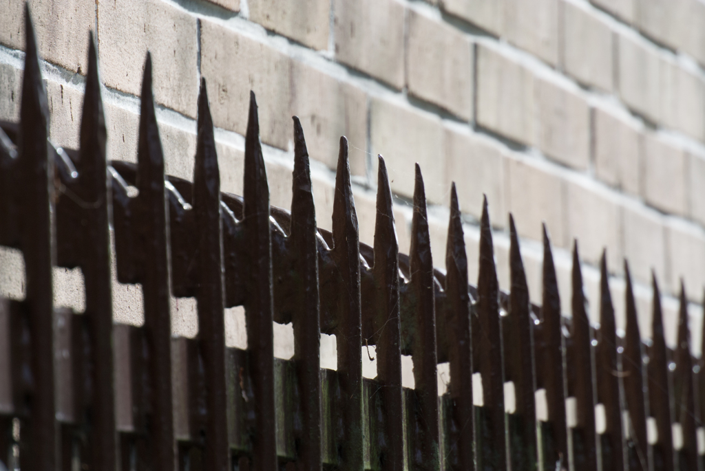 大阪南港野鳥園