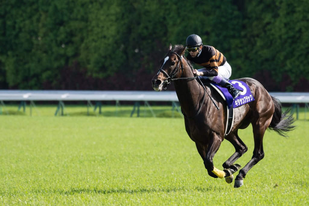 天皇賞馬 キタサンブラック