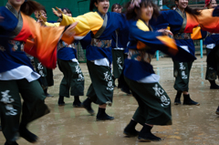 雨中の京都さくらよさこい