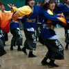雨中の京都さくらよさこい