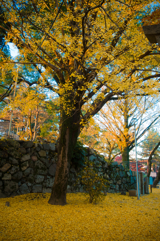 朝の通勤時の風景２