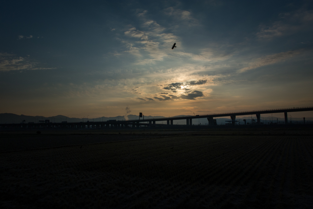 朝の通勤時の風景