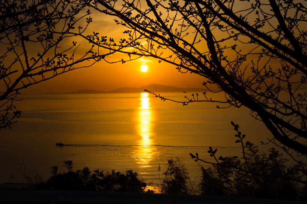 室津PAの夕景