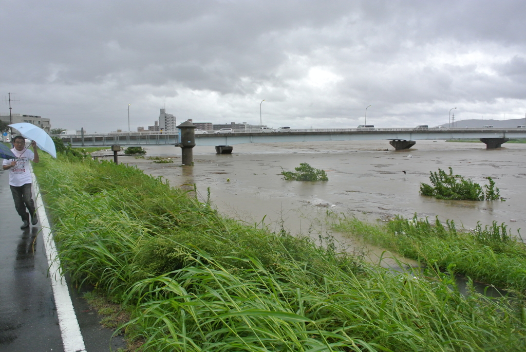 京都桂川「宮前橋」