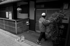 祇園花見小路界隈
