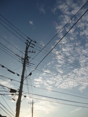はりめぐらされた青