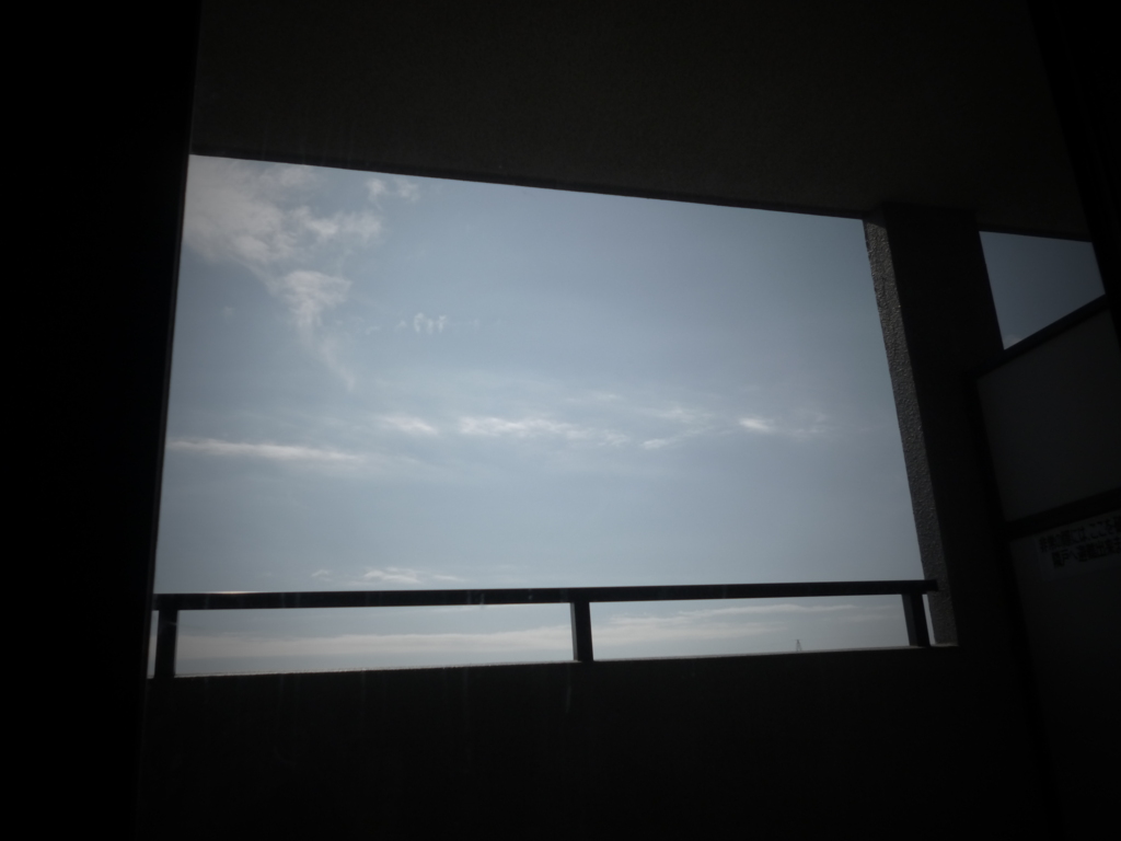 洗脳したい午後