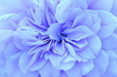 2013_1014_152427-DSC_0404