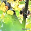 高みの見物