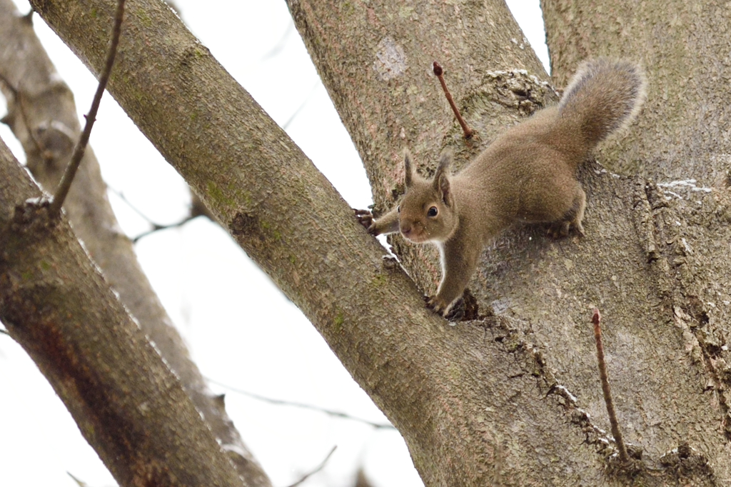 ちょっと待った