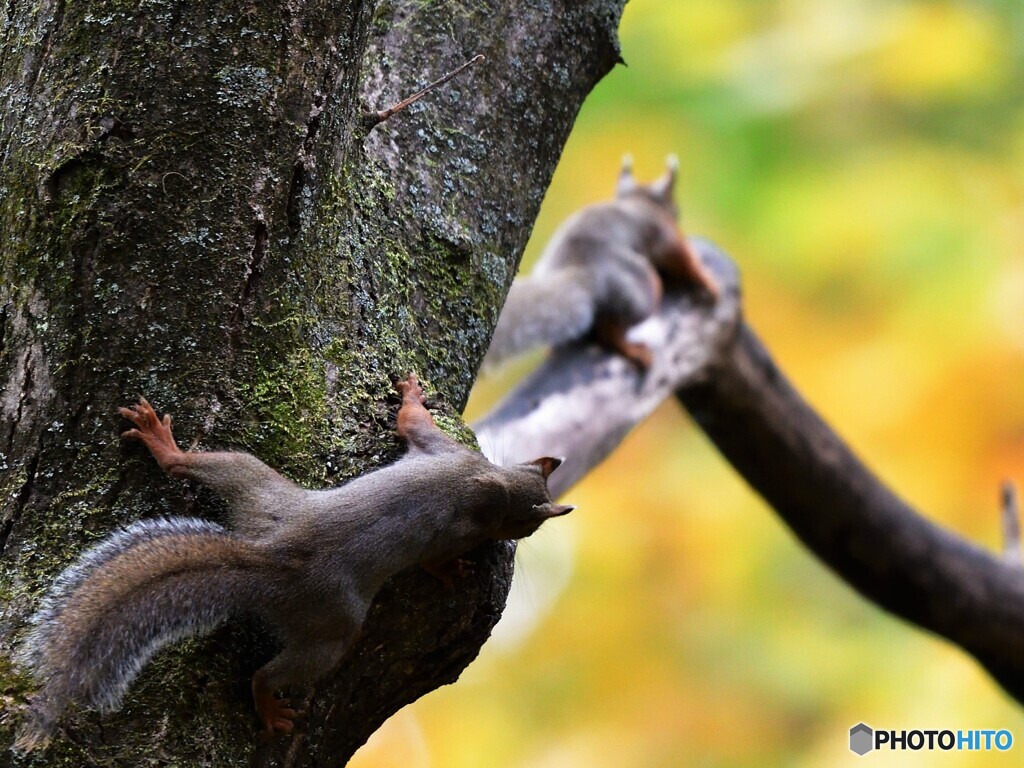 まーてー！！