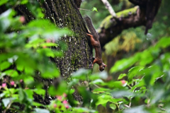 手前にクサキを添えて