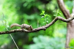 小川の向こうで