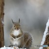 キメポーズ