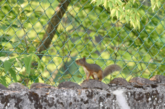 山の公園にて　