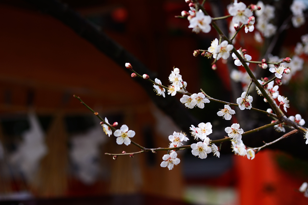 神社