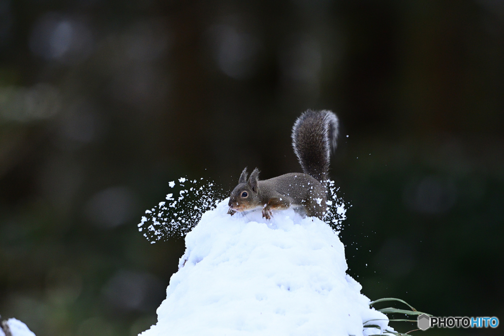 雪しぶき