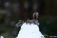 雪しぶき