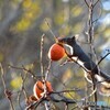 味沁みるヘタ