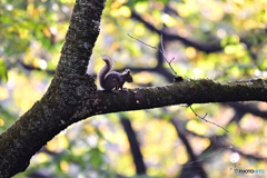 良い天気ですね～
