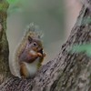 可愛く撮ってよね～！
