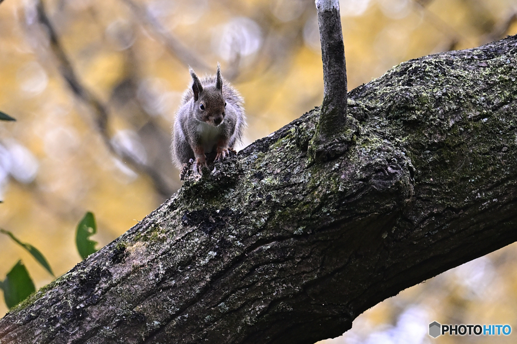 しっとりと晩秋