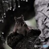 雨降り