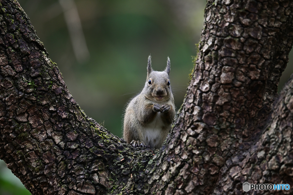 皆様良いお年をお迎えください