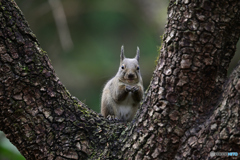 皆様良いお年をお迎えください