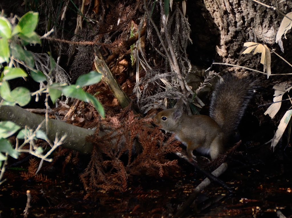 さあ。帰るぞっと