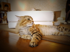 視線の先は・・・？