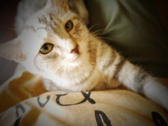 僕と遊ぼうよ