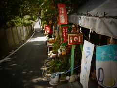 谷中散歩♪