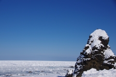 オオワシと流氷