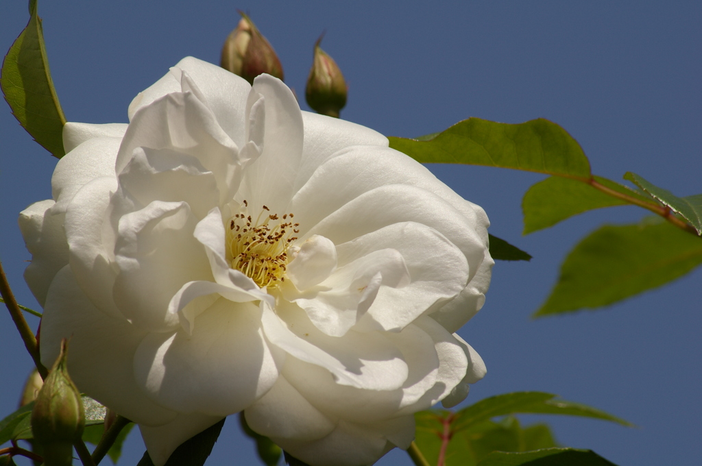 IMGP0022
